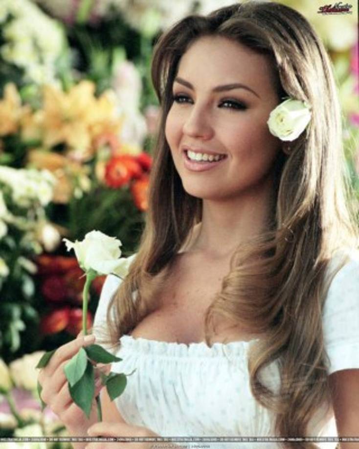 Adiós a las telenovelas<br/>Rosalinda fue el regreso y la despedida de Thalía del mundo de las telenovelas; la estrenó en 1999 junto a Fernando Capetillo y en ella interpretó al personaje principal, una chica quien vive con la familia de su tía creyendo que son su madre, padre y hermanos, puesto que su mamá la dio a luz estando en prisión. Y aunque la famosa decidió ya no continuar con su carrera como actriz, sí tuvo un gran auge musical después del programa con el lanzamiento de los discos Arrasando (2000), del que forman parte temas como 'Entre el Mar y una Estrella', 'Regresa a Mi' y 'Arrasando', y Thalía con Banda (2001).<br/>