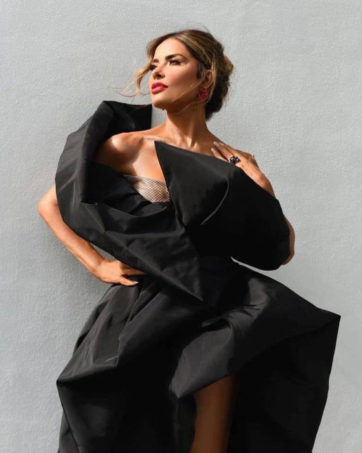 Debido a las acusaciones, Hacienda lleva años de investigación sobre un entramado de empresas de Trevi y su esposo. En 2021 el organismo los acusó de haber evadido la cantidad de 400 millones de pesos y de haber creado una red de lavados de activos, en la que también habría otras tres personas involucradas. 