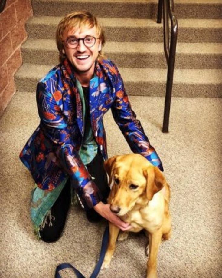 Con el paso del tiempo, su peculiar melena está desapareciendo.