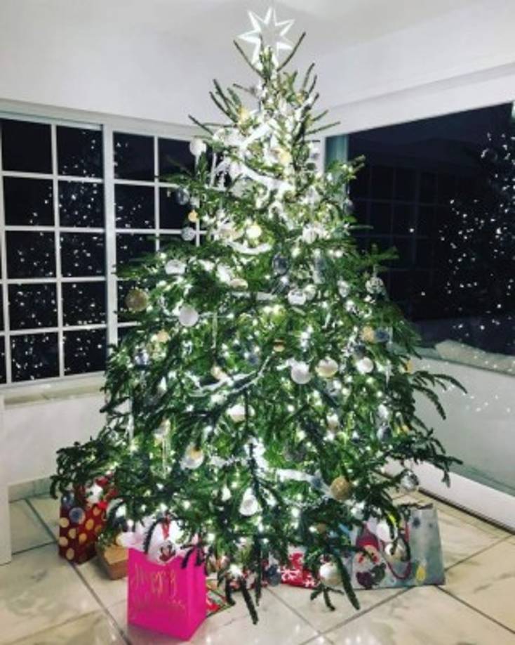 El árbol de la periodista hondureña, Satcha Pretto.