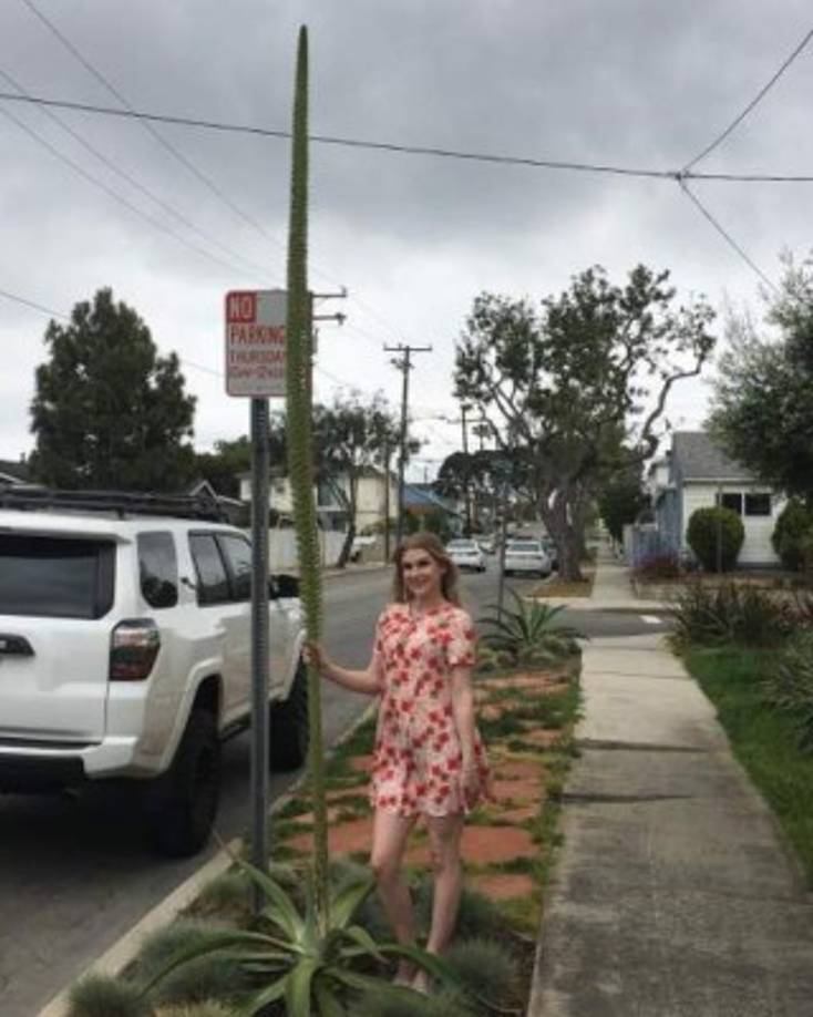 Según las pruebas la última persona con la que Lueck se comunicó a través de su teléfono celular fue Ajayi, dijeron las autoridades, aunque el hombre negó haber tenido contacto con ella.