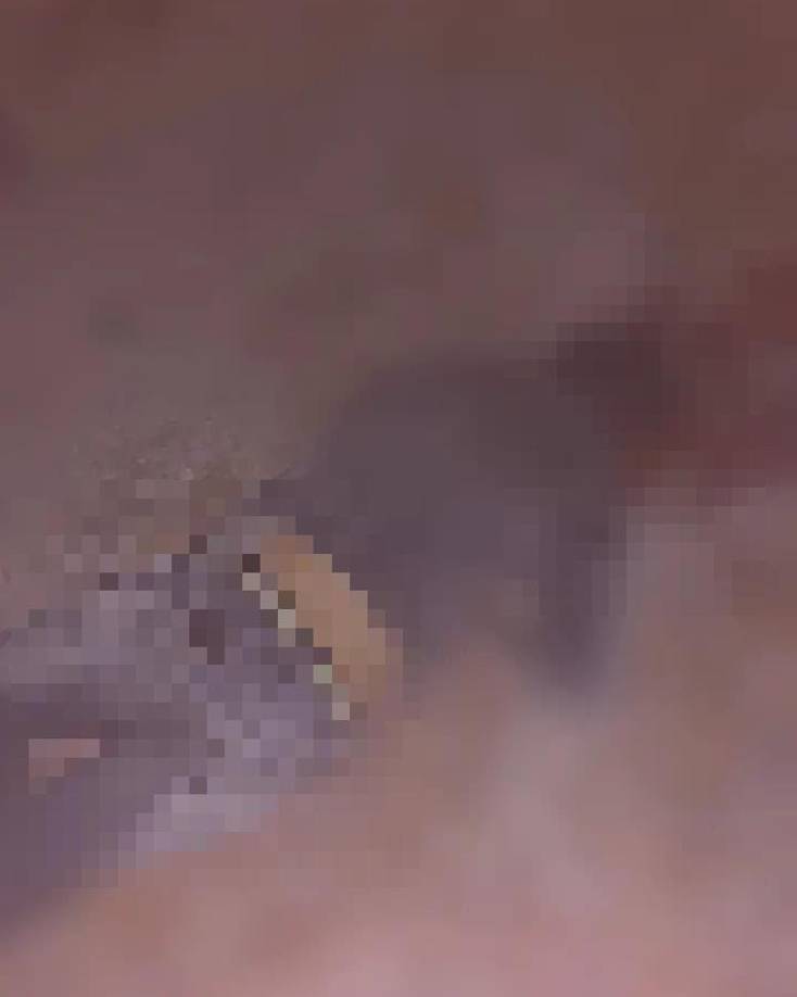 Hombres armados emboscaron a los ocupantes del carro marca Toyota, color negro, con placas HCB 9383, a eso de las 6:30 pm y dispararon contra todos ellos. 