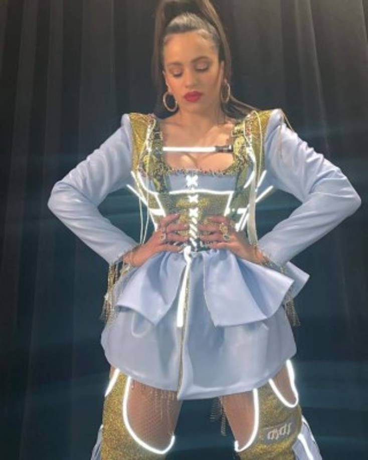 'No soporto que tengas más oportunidades que las gitanas que cantan desde niñas sobre sus raíces', dijo la activista Noelia Cortés en un comentado tuit de diciembre de 2017.<br/><br/>'He estudiado flamenco durante años, lo respeto más que nada y conozco sus orígenes', dijo Rosalía en una entrevista en julio de 2018 en el diario El Mundo. 'el flamenco no es propiedad de los gitanos. No es propiedad de nadie, de hecho', agregó