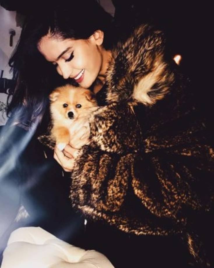 2. Ya tiene un cachorro en pareja: el cantante le regaló una perrita llamada 'Julieta' el año pasado, un gran paso para una pareja. <br/><br/>Infortunadamente este miércoles 30 de enero, los 'furparents' confirmaron que la perrita había desaparecido. La pareja está ofreciendo una recompensa por su 'hija', desaparecida en Medellín, Colombia.<br/><br/>