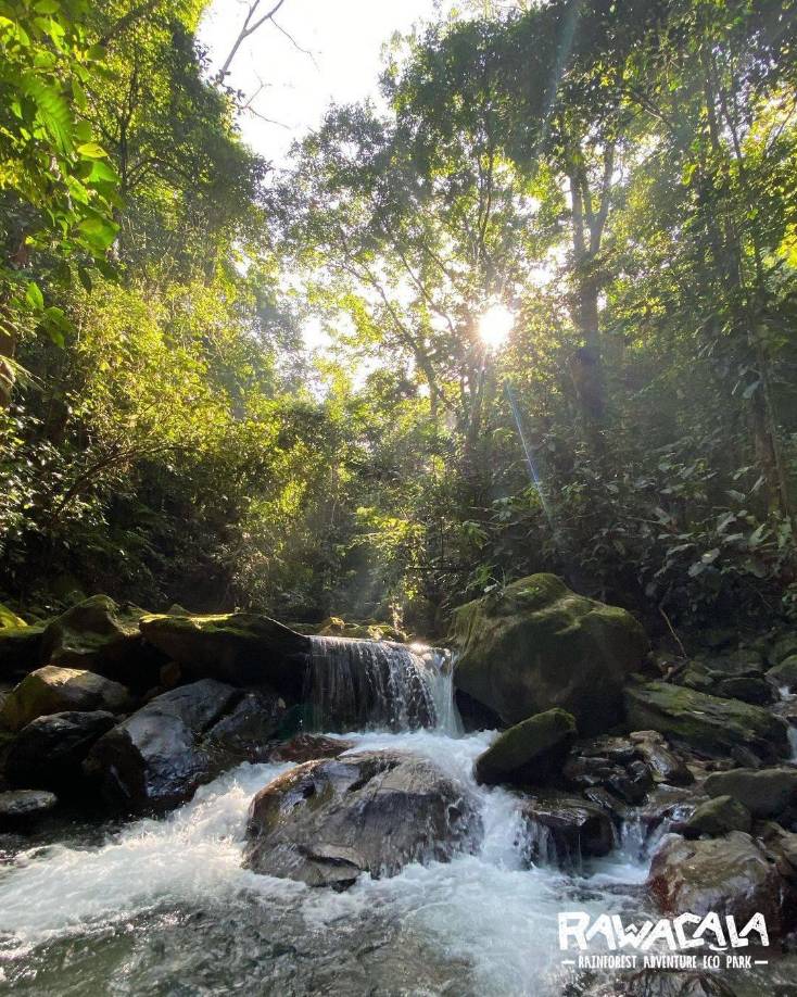 Además de sus perfectos espacios para refrescarse, posee la opción de acampar en el bosque, una experiencia inigualable.