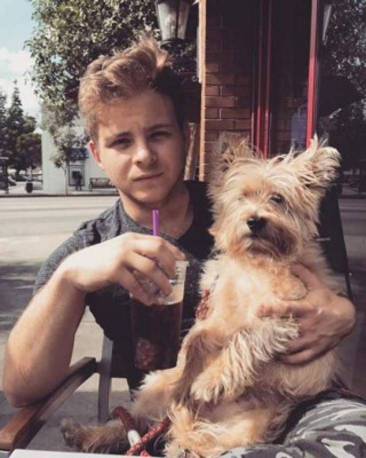 Lipnicki tiene cuatro perros, está involucrado en Grupos de los derechos de los animales, entre ellos Mascotas y sus Estrellas y la Nueces para Mutts.