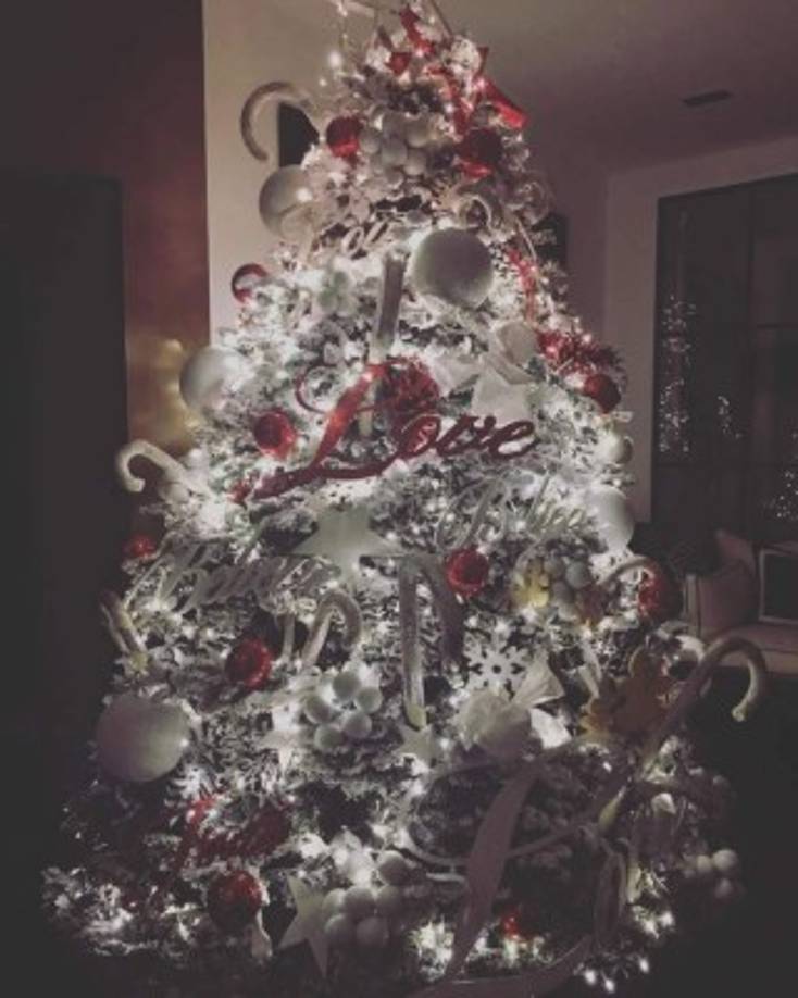 El precioso árbol de la presentadora mexicana, Galilea Montijo.