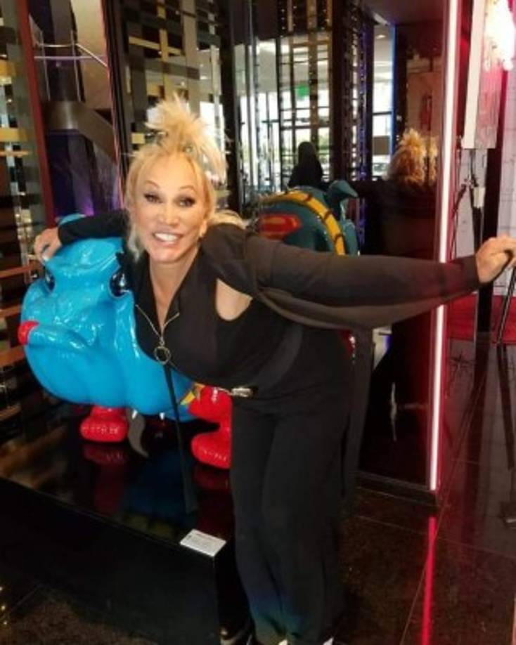 Una de sus últimas novelas fue 'Dos hogares' en 2011 al lado de Anahí y Carlos Ponce.