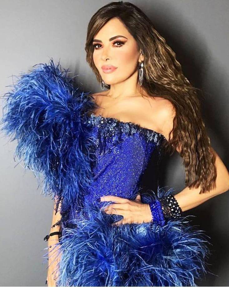 Según las indagatorias de la UIF, las empresas de Gloria Trevi y su esposo, con sede en Texas, Estados Unidos, son utilizadas para evadir el pago de impuestos en México. 