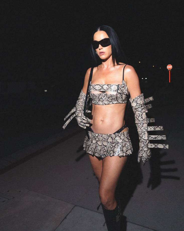 Katheryn Elizabeth Hudson, conocida artísticamente como Katy Perry, es una cantante, actriz, modelo, productora discográfica, bailarina, compositora, personalidad de televisión y empresaria estadounidense. 