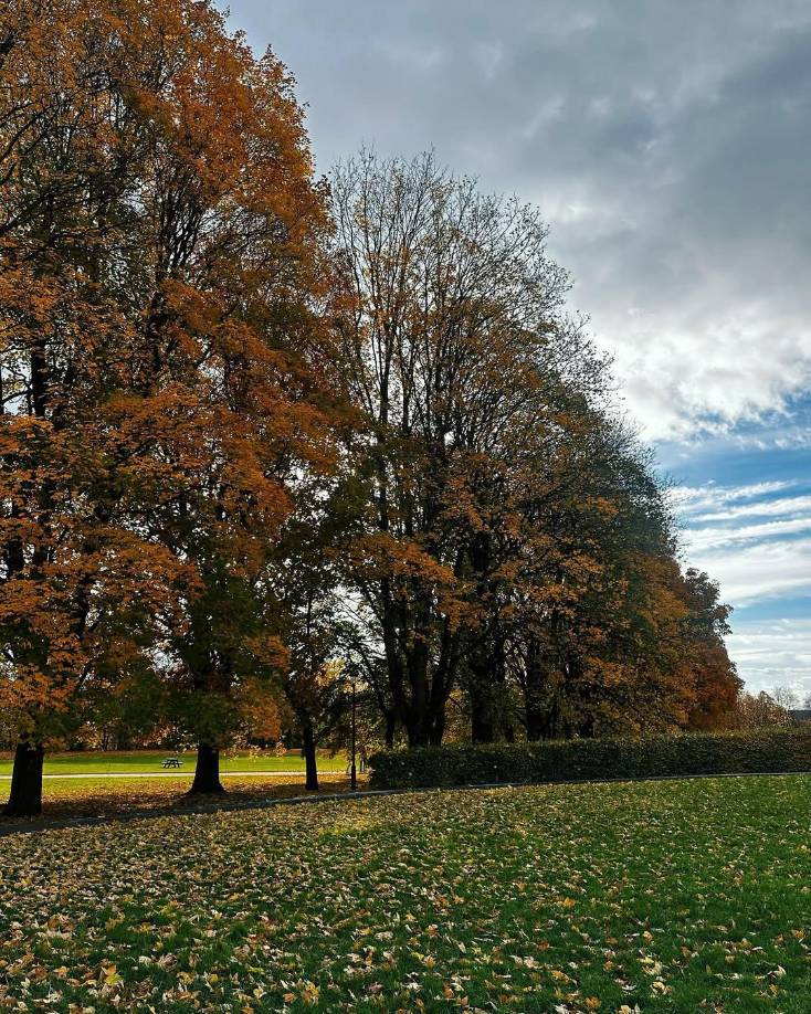 Además, una de las curiosidades del lugar, aparte de su encanto natural, es que el conjunto de esculturas y bajorrelieves de bronce se inspira en acontecimientos de la vida cotidiana, evocando momentos como el nacimiento, la infancia, la adolescencia, el primer amor, la madurez, los hijos, la familia, la vejez y la muerte.