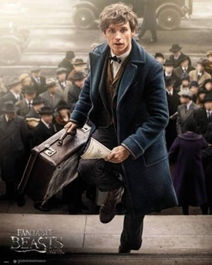 Newt Scamander / Eddie Redmayne<br/><br/>Newt Scamander es el alma de esta película, no hace falta relacionarlo con Harry Potter, pero en algo se parecen, ya que Dumbledore le pide ayuda, para acabar con Grindelwald.<br/><br/>Los animales de Newt en los crímenes de Grindelwald parecen ser más 'reales' y sorprendentes.
