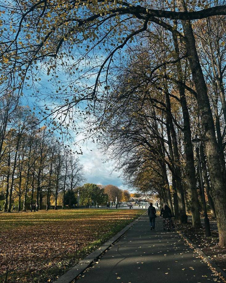 En las imágenes se puede apreciar la belleza del otoño, un encanto para todos los que visitan ese lugar. Lastimosamente, esa estación del año no ocurre en Honduras, por lo que Jennifer aprovechó cada minuto para vivir un momento distinto. 
