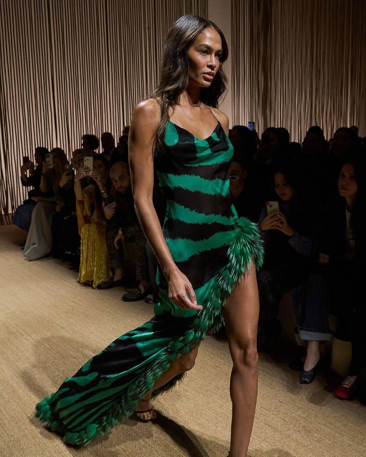 Roberto Cavalli Primavera Verano 2025