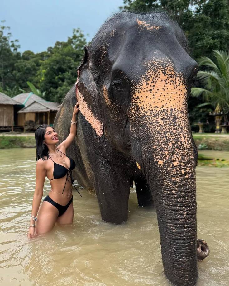Recientemente, Sheynnis disfrutó un increíble viaje en Tailandia como embajadora de la marca Pandora, donde pudo vivir un momento de safari con otras modelos famosas. En esta imagen se observa muy feliz junto a un elefante y con un sexy bikini negro que dejó ver su figura espectacular. 