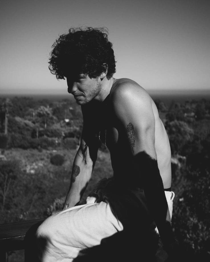 Sus comentarios generaron un debate en Internet sobre cómo los fans hablan de la sexualidad de los artistas y las celebridades. Muchos fanáticos en Internet dijeron que sienten que el público no tiene derecho a saber sobre la vida privada de las celebridades. Otros dijeron que la gente no debería obligar a nadie a etiquetarse a sí mismo.