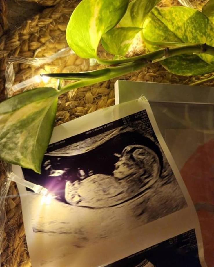 “En tu espera y siempre, daremos lo mejor de nosotros para que el Chile que toque vivir sea más justo y feliz” dice el anuncio en la red social del presidente de 38 años, acompañado de una imagen del bebé en una ecografía.