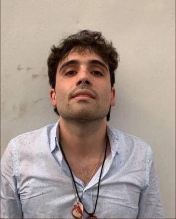 También adquirieron efedrina en Argentina para introducirla a México y producir metanfetamina. Según las autoridades estadounidenses, <b>Ovidio</b> es responsable de laboratorios que producen mensualmente entre 1.360 y 2.200 kilogramos de metanfetaminas.