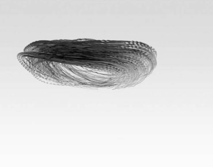 Xavi Bou ha creado una serie de fotografías a partir del movimiento de las aves, que nos dejan volar la imaginación, y a partir de ella, formar imágenes que bien podrían ser de ser mitológicos y hasta misteriosos. <br/>