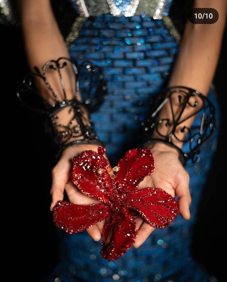 Un detalle especial es que las cinco reinas universales puertorriqueñas y otras personalidades icónicas del país se destacan en la pintura. La totalidad del traje está meticulosamente recamada en cristales de diversos colores, agregando un toque de brillo y encanto a esta obra maestra. 