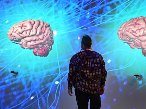 Esperan científicos comprender mejor la cognición humana entrenando la IA para que responda como nosotros.