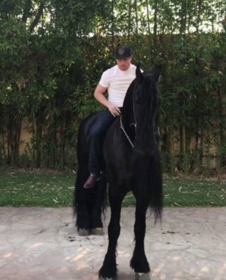 En un video que 'El Canelo' compartió montado a caballo, De Lima comentó: 'Yo quiero', junto al emoji de ojos de corazones. Y el boxeador le contestó: 'Pa ti lo que quieras'.<br/><br/>