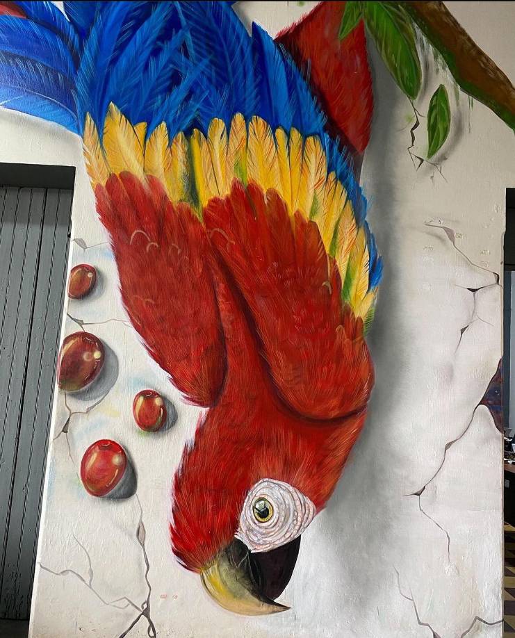 En relación a su obra con la que se ha dado a conocer en Honduras, Catejón manifestó que a inicios dudó y menospreció su trabajo, ya que se realizaría dentro de una locación donde no iba a tener una exposición concurrida, caso que no fue así.