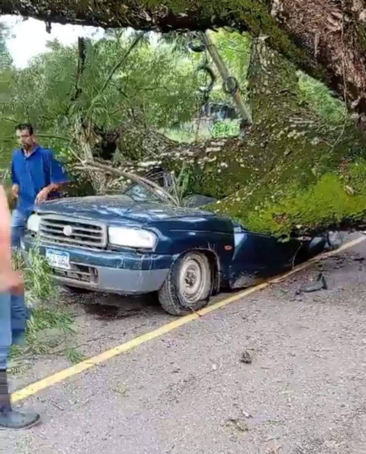 Las víctimas mortales fueron identificadas como Leonel Soriano, quien era residente en la zona y era la persona de manejaba el carro.