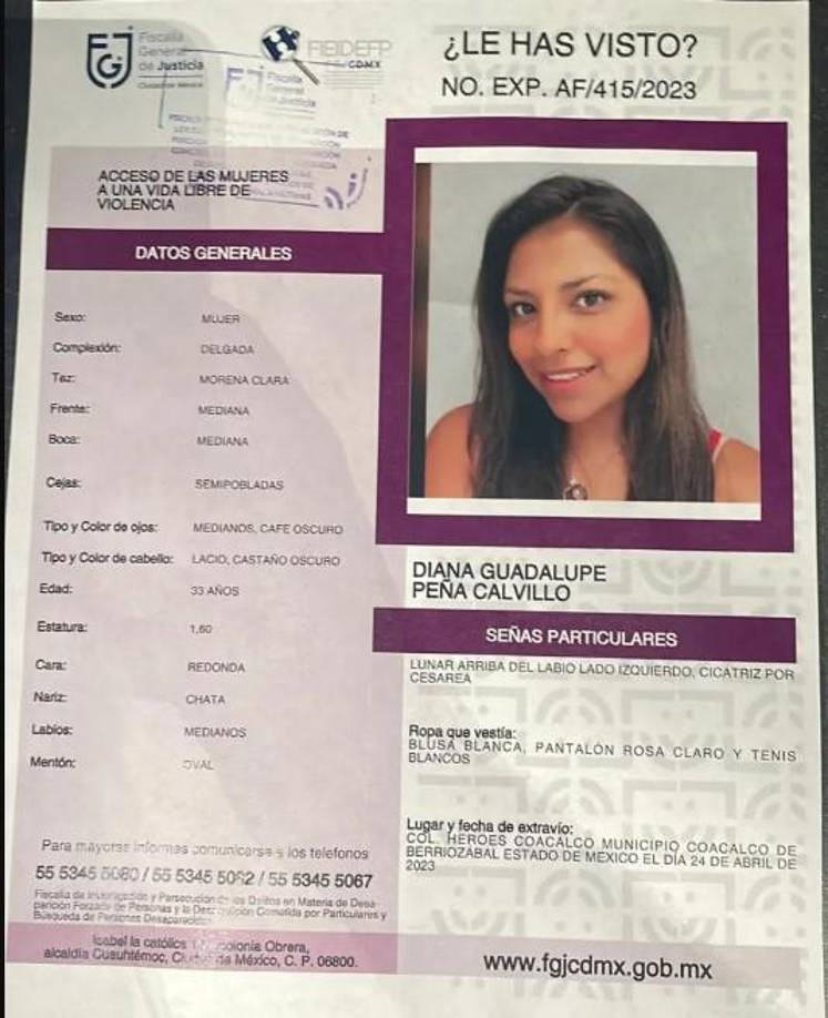 Los familiares de Diana también se pusieron en contacto con Locatel, pero se les informó que no había reporte alguno sobre la joven. Se sabe que ella viajaba en su automóvil, un Chevrolet Beat modelo 2019, el cual, según informes periodísticos, fue encontrado en la autopista Chamapa-Lechería.
