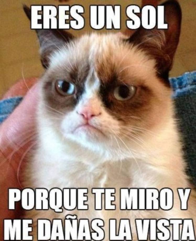 Después de la publicación de las primeras fotos de la gata en la plataforma Reddit en 2012, más de un millón de usuarios visualizaron las imágenes en las primeras 48 horas y miles colgaron toda clases de memes basadas en esas imágenes.