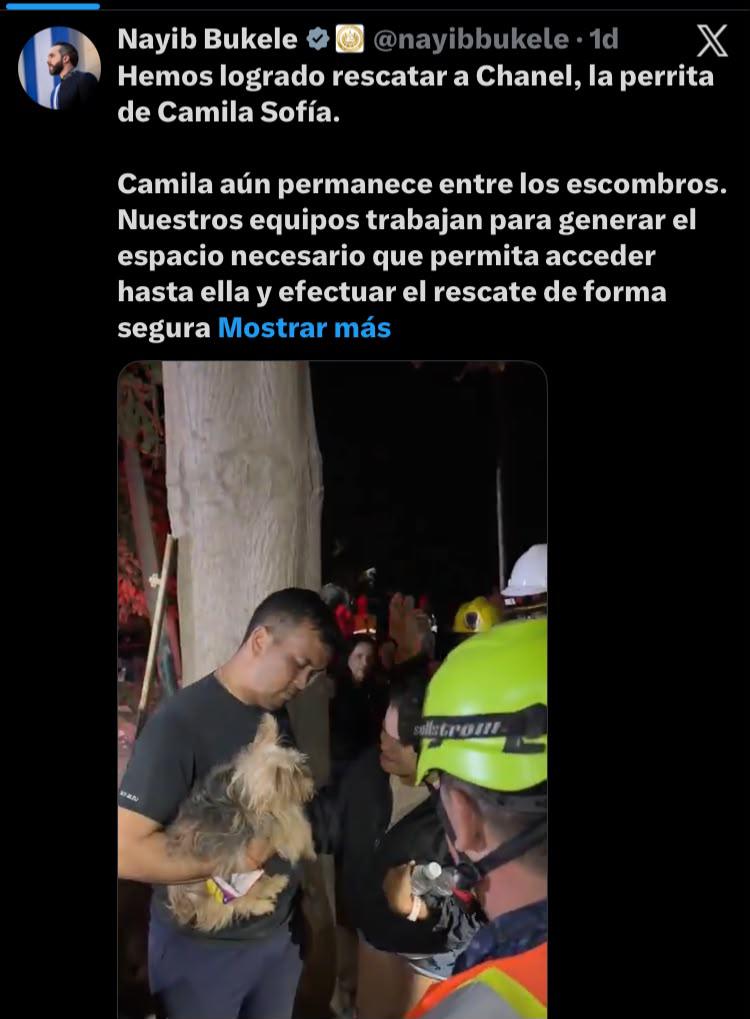 ¡Hemos rescatado a Camila!:  salvadoreños rescatan a joven  soterrada junto a su perrita en Venezuela