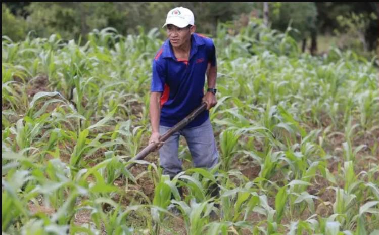 Rodrigo, el único hondureño que estuvo cerca de ganar la Maratón Internacional de La Prensa