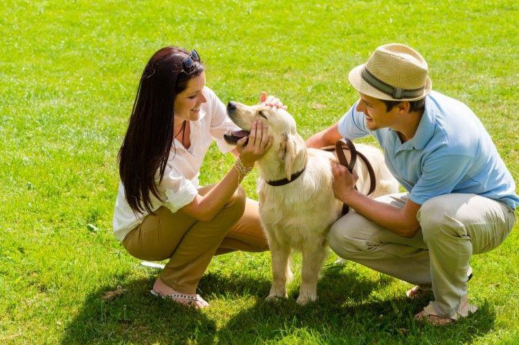 Los perros están entrando en una nueva fase de evolución, según la ciencia, ¿cuál es?