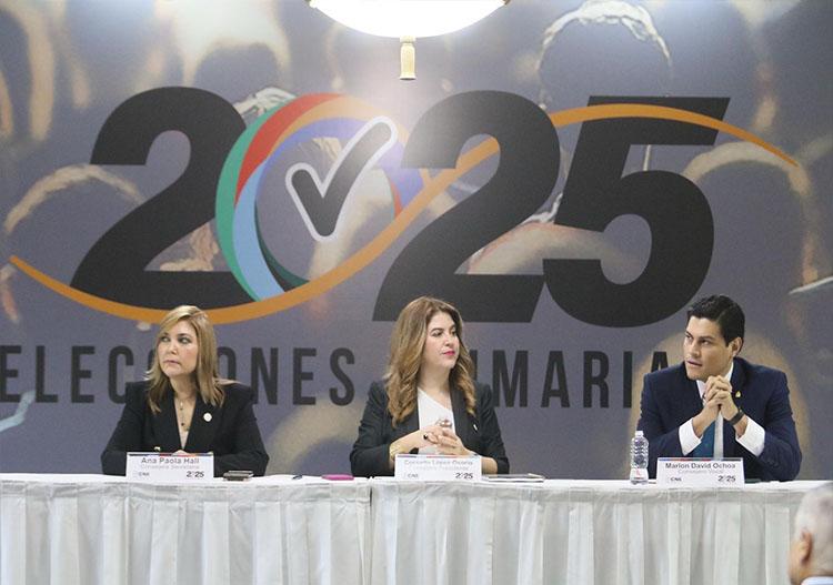 CNE aprueba inscripción de 15 movimientos para elecciones primarias 2025