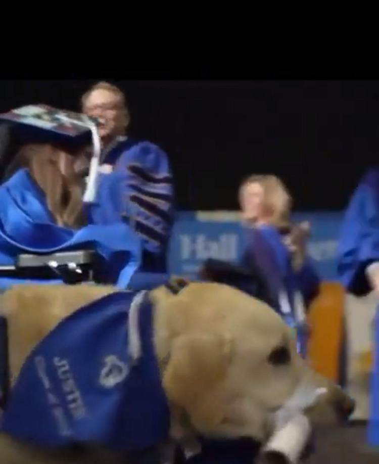 Internautas tras la noticia han saltado a las redes sociales para ovacionar al perrito.