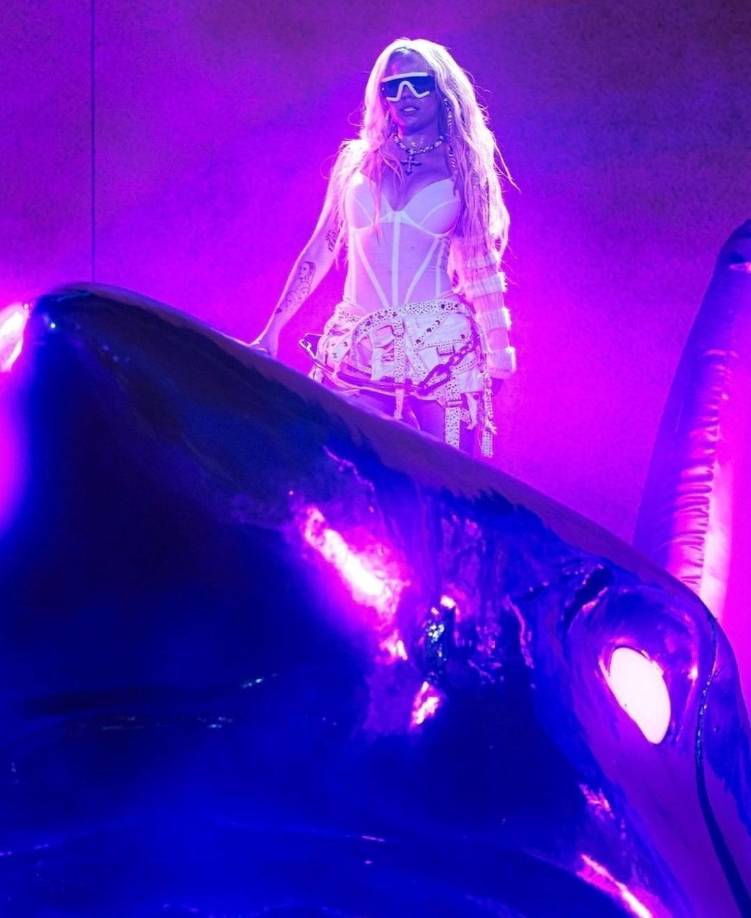 En pleno concierto la cantante solicitó a su equipo que tomaran fotos a sus fans ya que estaba impresionada por la cantidad de rótulos en el concierto. y el más destacado “dice: ´cancelé mi fiesta de cumpleaños para celebrar con ‘La Bichota’”.