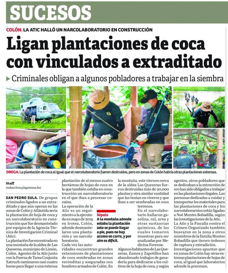 A extraditables les destruyen plantaciones de coca en Colón