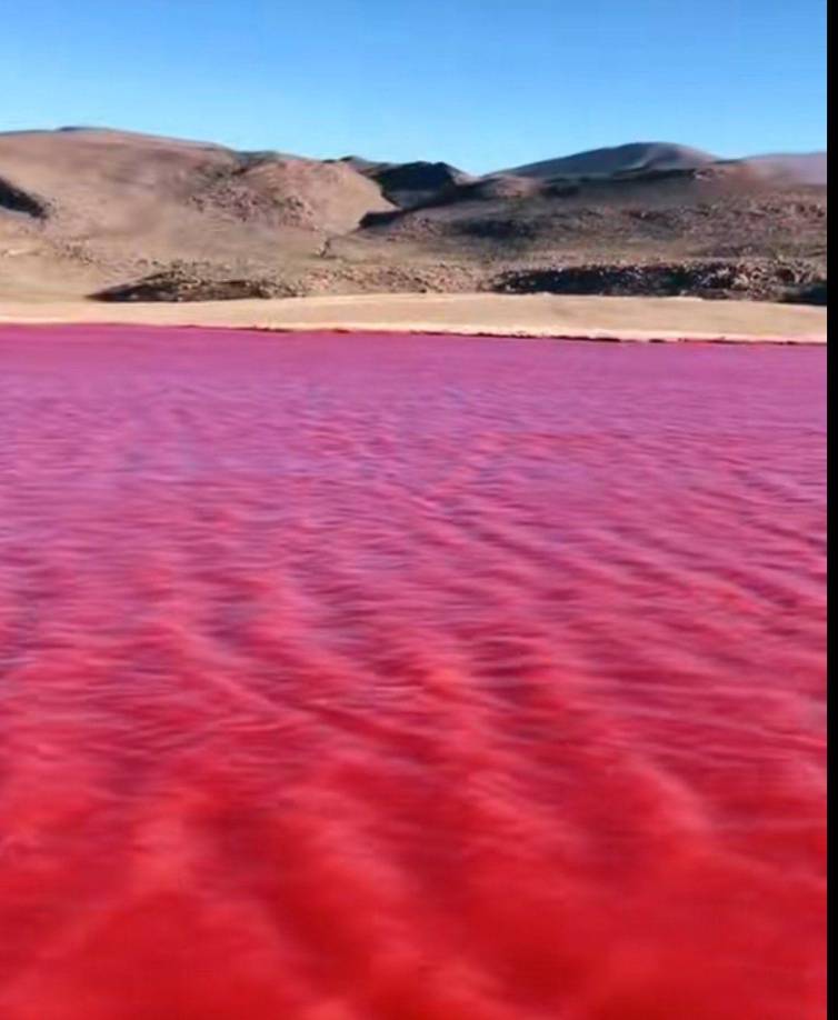 Sin una causa específica y contundente que pueda explicar este impactante fenómeno, expertos continuan la búsqueda de más hipótesis que puedan contribuir para dilucidar qué fue lo que realmente sucedió con el cambio de color.