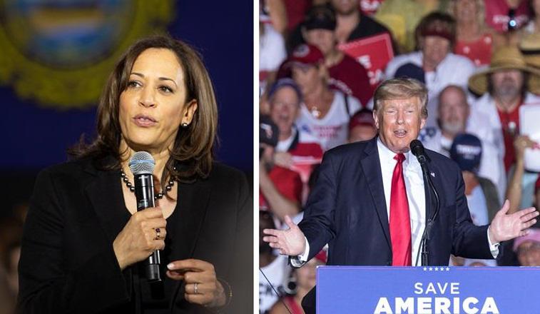 ¿Cuáles son los estados clave para las elecciones de Estados Unidos 2024?