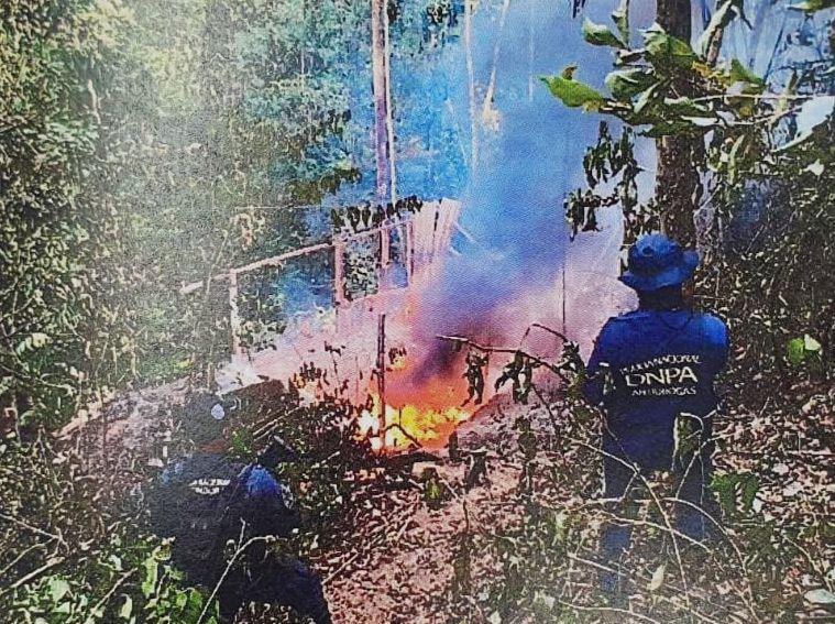 Las autoridades arrestaron a los cinco hombres durante una operación en la que decomisaron 86,000 arbustos de coca y un laboratorio para procesar ese tipo de drogas.