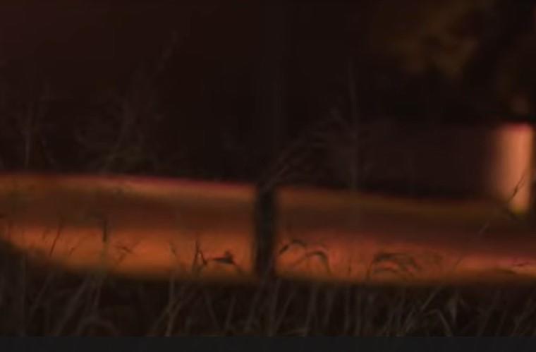 Saúl dijo que su novia había sido detenida por ICE en Miami; está muerta y pruebas lo incriminan