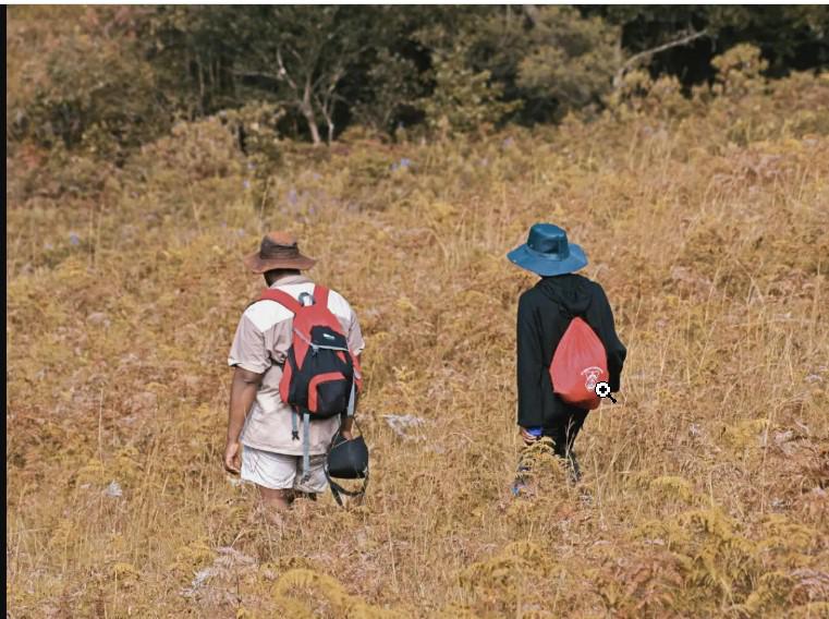 Ellos eran los dos hondureños que murieron en un vagón en Texas; uno tenía 14 años