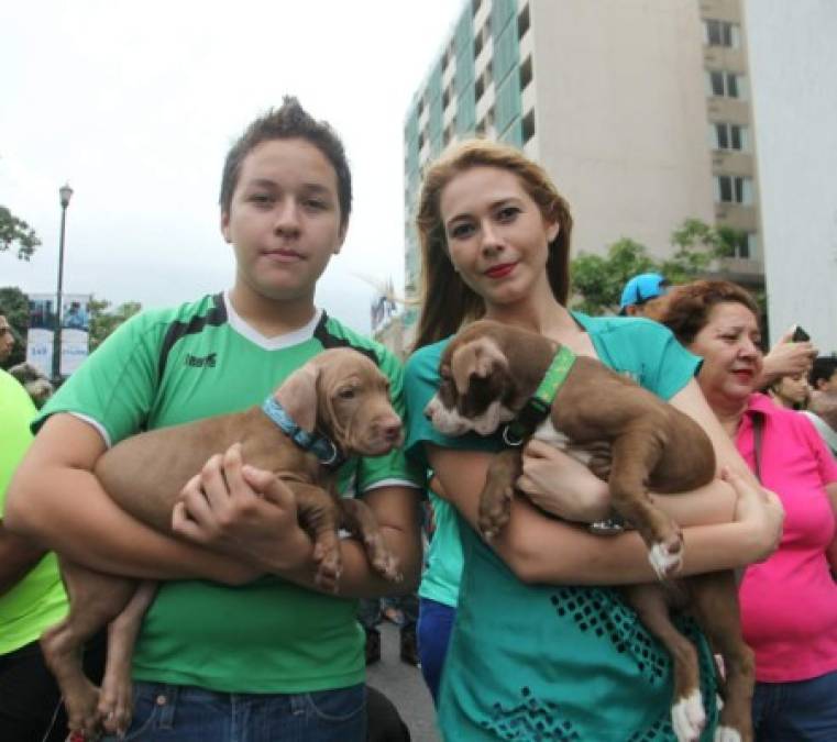 Los sampedranos mostraron su sensibilidad y amor a las mascotas, especialmente por los perros.