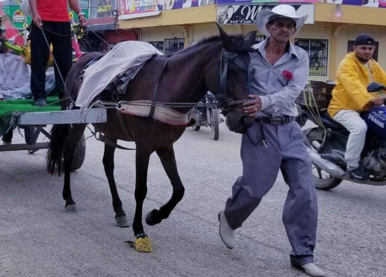 “Tenemos 25 años de casados y nos hemos mantenido entre las buenas y las malas. Hemos tenido pruebas fuertes, pero seguimos firmes. Esperamos que otros imiten nuestro ejemplo’’, invitó don Omar.