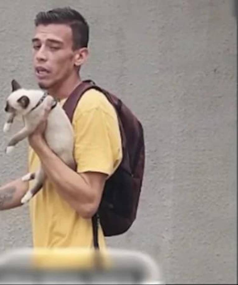 Una cámara de seguridad captó el momento en que José Díaz huía con el gatito en su brazos. 