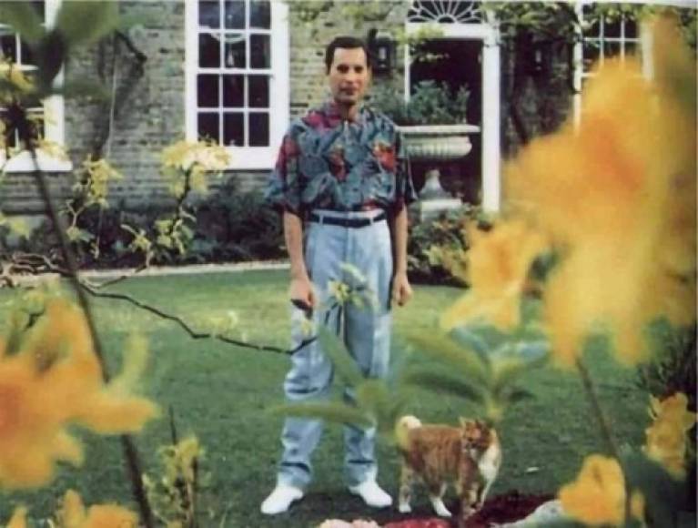 Las fotografías muestran a la leyenda de Queen sonriendo semanas antes de morir, Mercury aparece en uno de sus sitios preferidos, el jardín Garden Lodge en 1 Logan Place en Kensington, Londres.<br/>