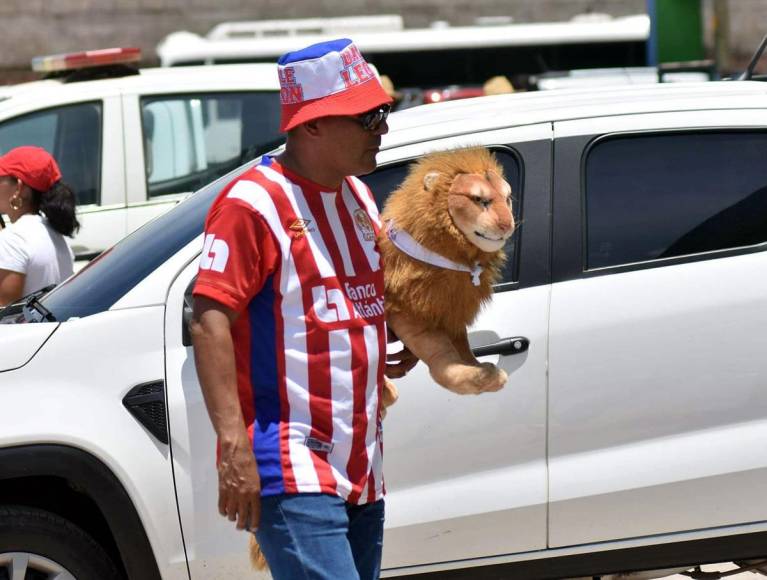 Un aficionado del Olimpia llegó al estadio cargando el peluche de un león.