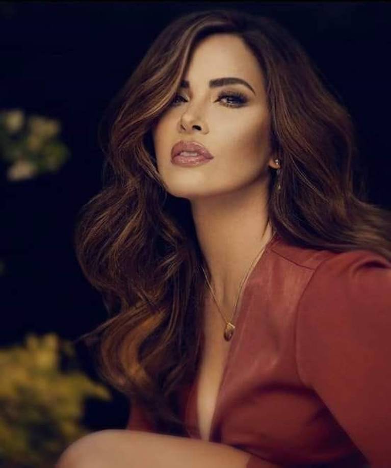 Armando Ismael Gómez Martínez, esposo de Trevi, también tiene el antecedente, ya que ha sido detenido en 1998 cuando pretendía ingresar por Hidalgo, Texas, con una suma de 400 mil dólares sin declarar. Ante estas acusaciones, la cantante y su pareja no se han pronunciado al respecto. 