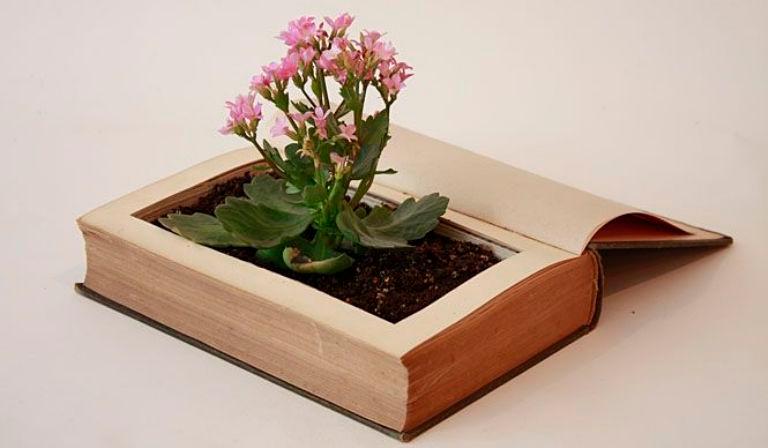 Consejos para limpiar una freidora de aire