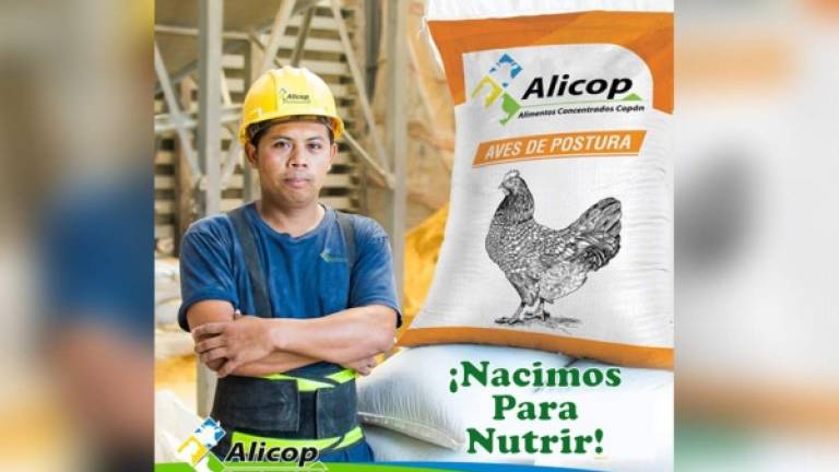 Todos los productos utilizados son de origen vegetal y garantiza al consumidor un producto saludable. Están ubicados en Aldea Río Amarillo KM 39, carretera hacia Copán Ruinas.